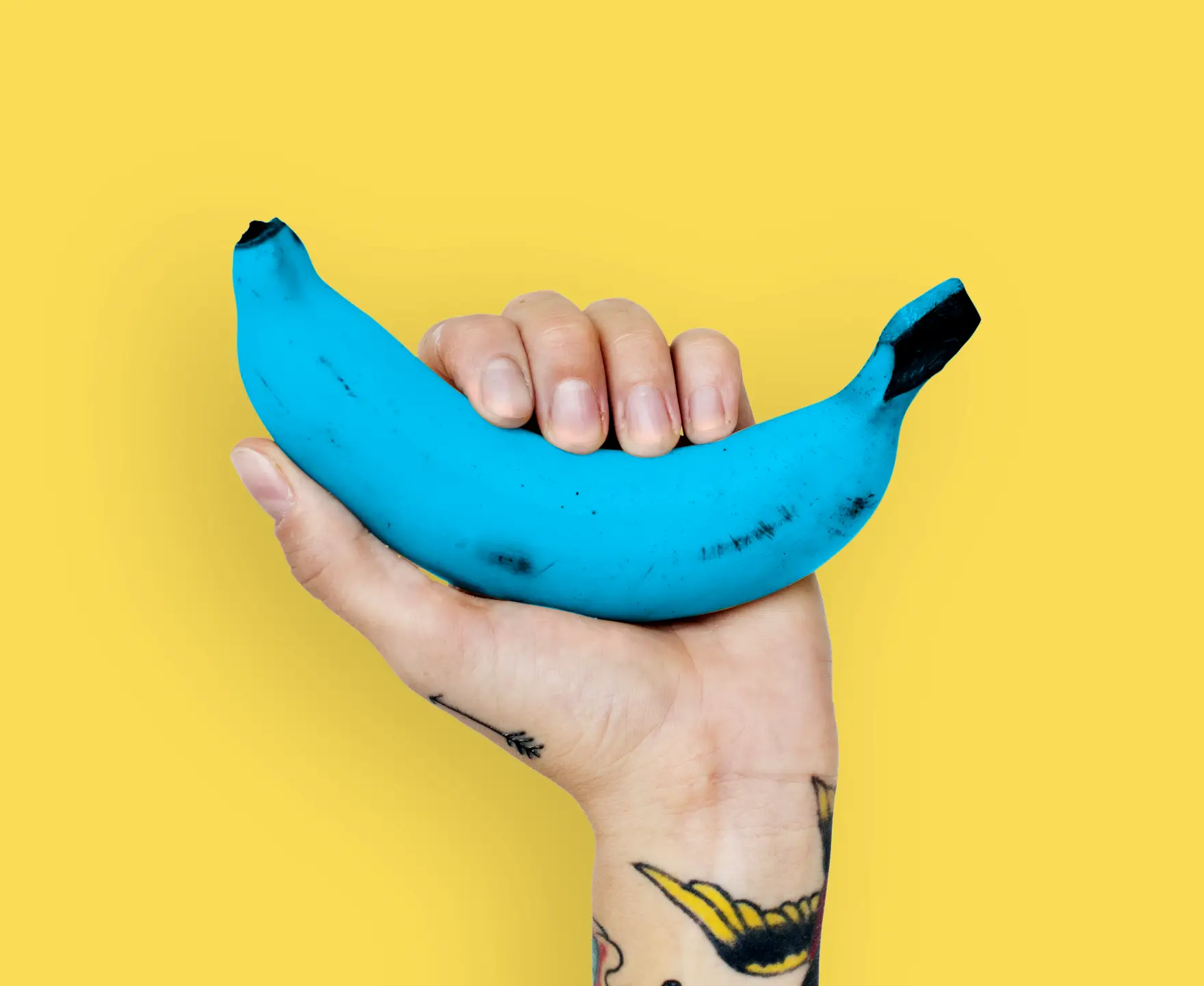 Jonki Portfolio Image 1.webp