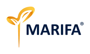 marifa logo logo